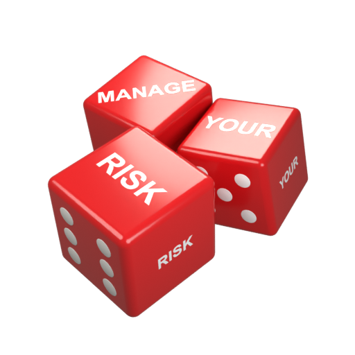 Red acrylic dice reading Manage Your Risk